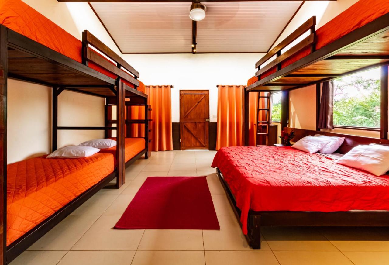 La Anita Rain Forest Colonia Dos Rios Ngoại thất bức ảnh