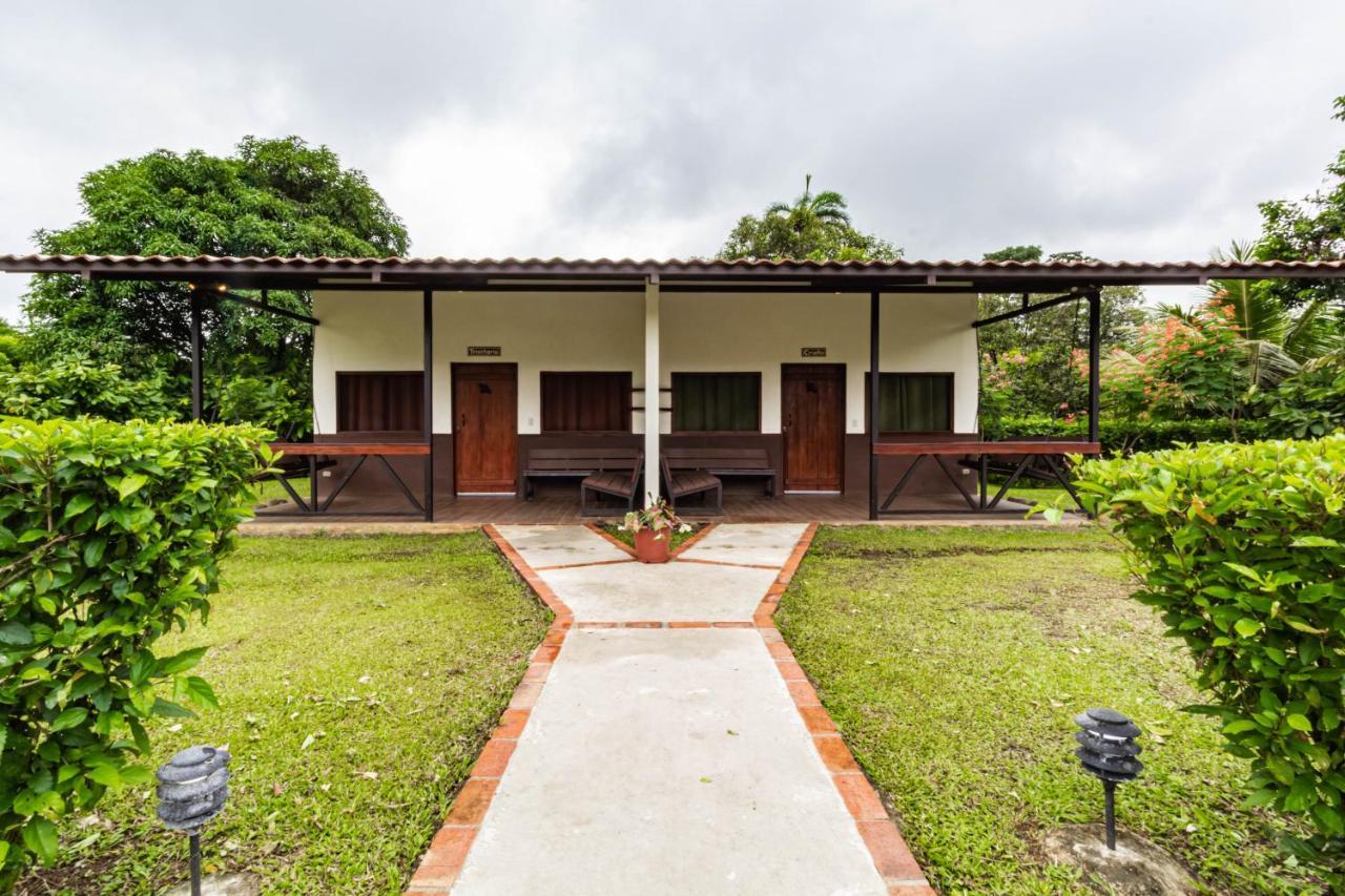 La Anita Rain Forest Colonia Dos Rios Ngoại thất bức ảnh