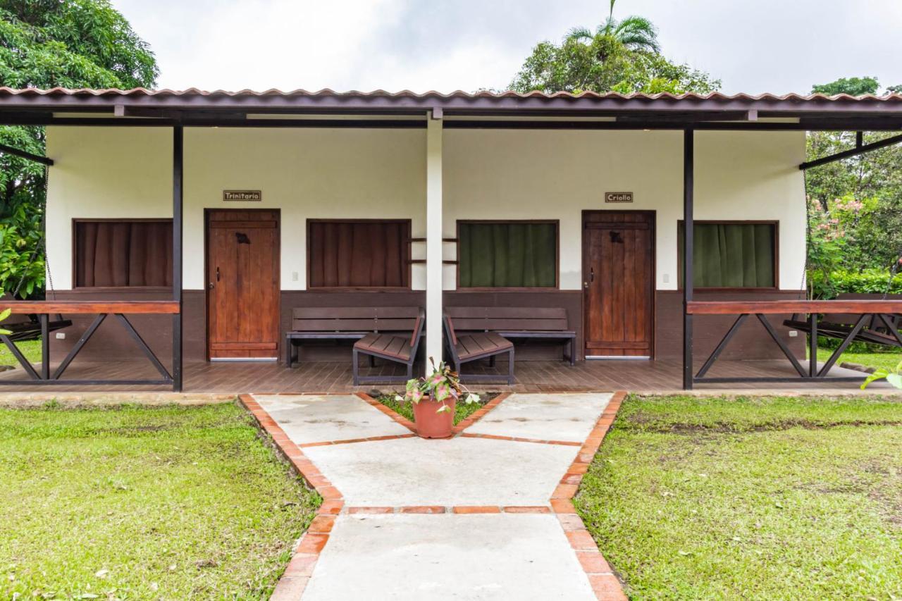 La Anita Rain Forest Colonia Dos Rios Ngoại thất bức ảnh