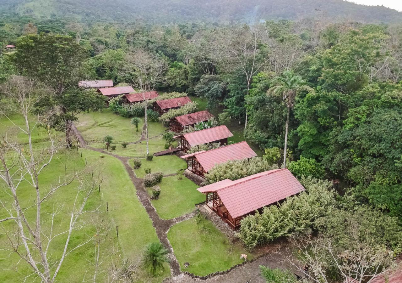 La Anita Rain Forest Colonia Dos Rios Ngoại thất bức ảnh