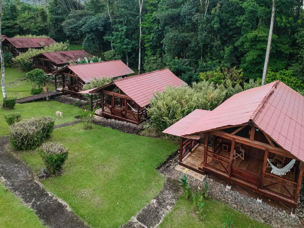 La Anita Rain Forest Hotel Colonia Dos Rios Ngoại thất bức ảnh