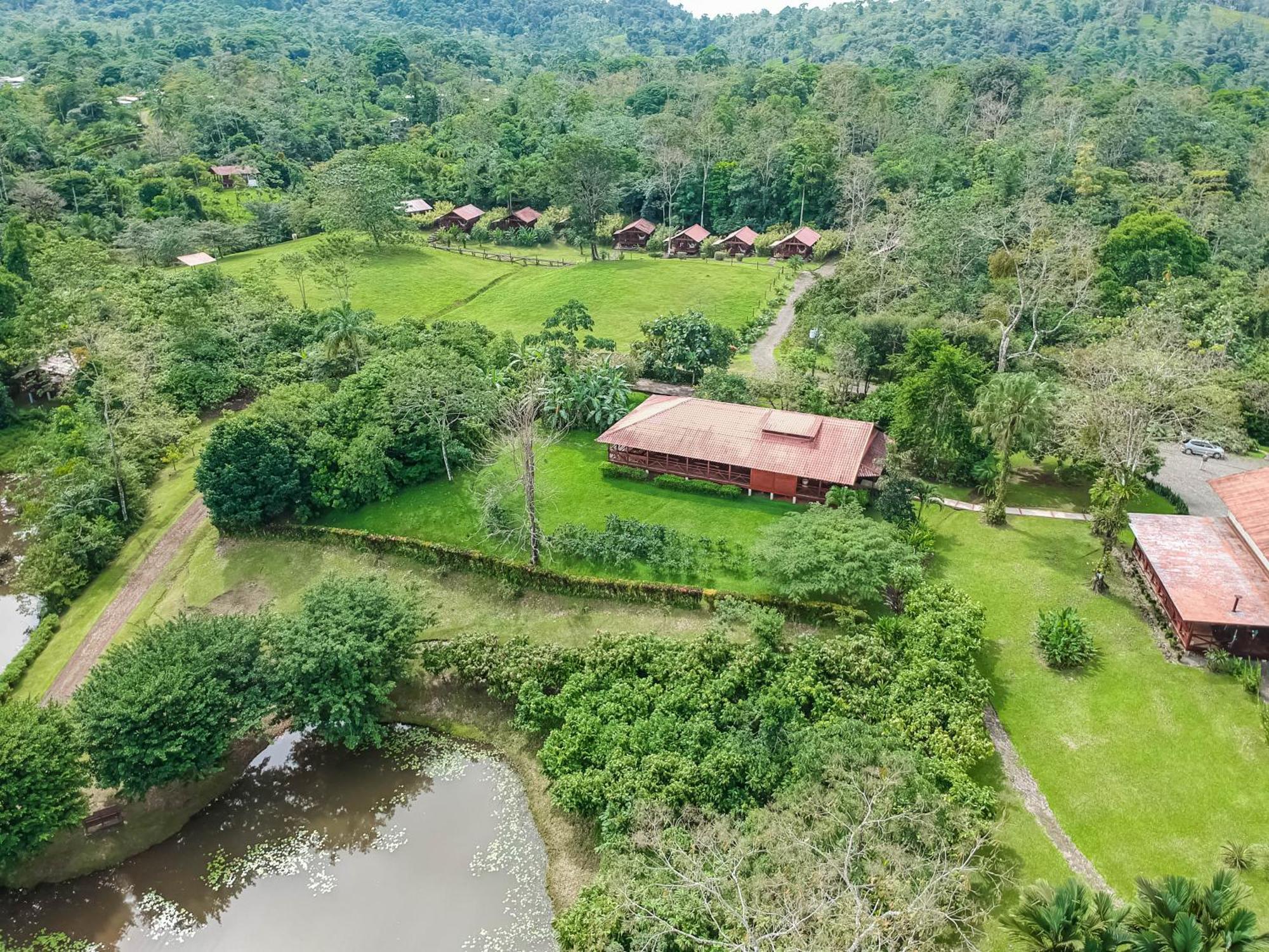 La Anita Rain Forest Hotel Colonia Dos Rios Ngoại thất bức ảnh