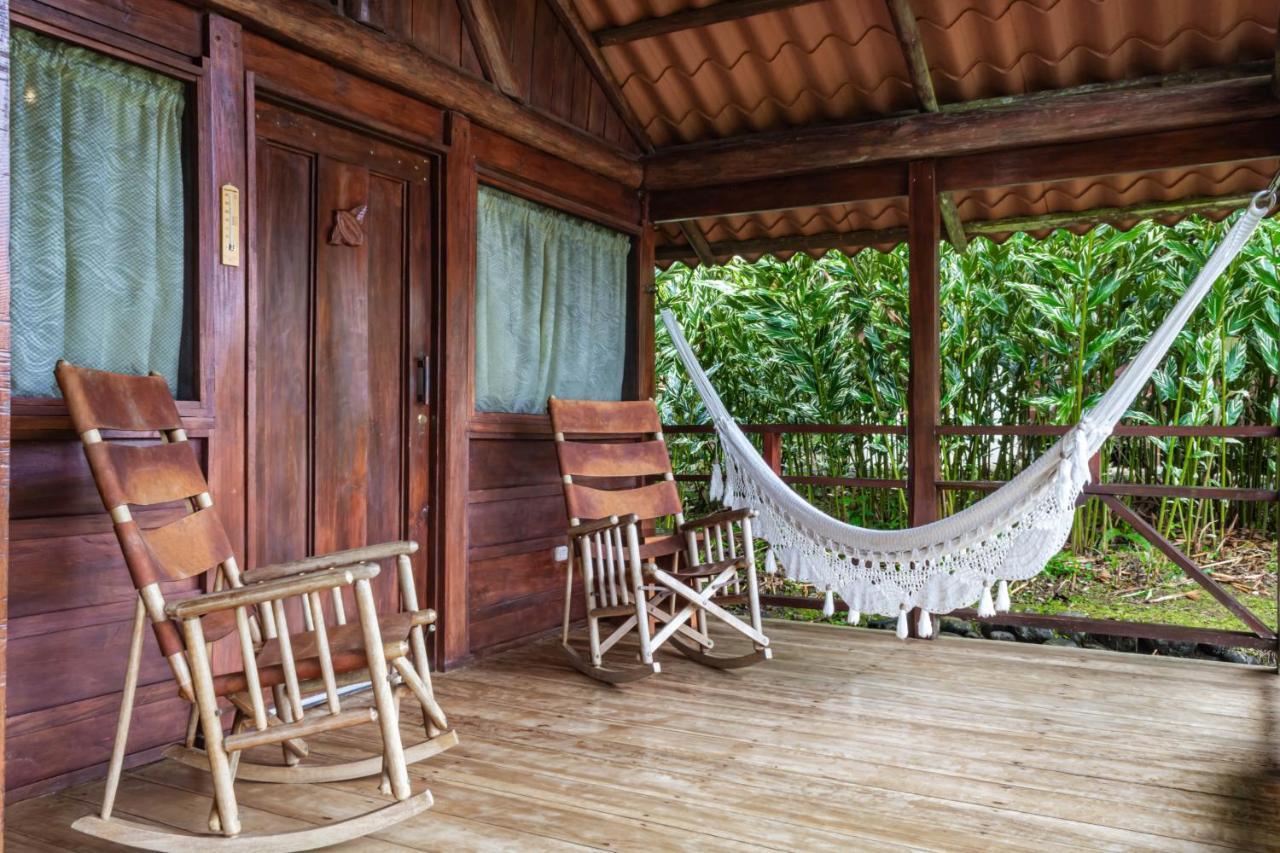 La Anita Rain Forest Colonia Dos Rios Ngoại thất bức ảnh