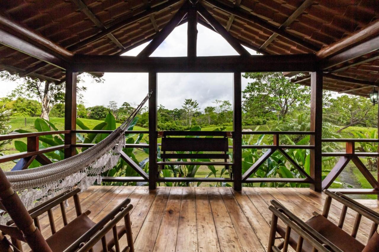 La Anita Rain Forest Colonia Dos Rios Ngoại thất bức ảnh