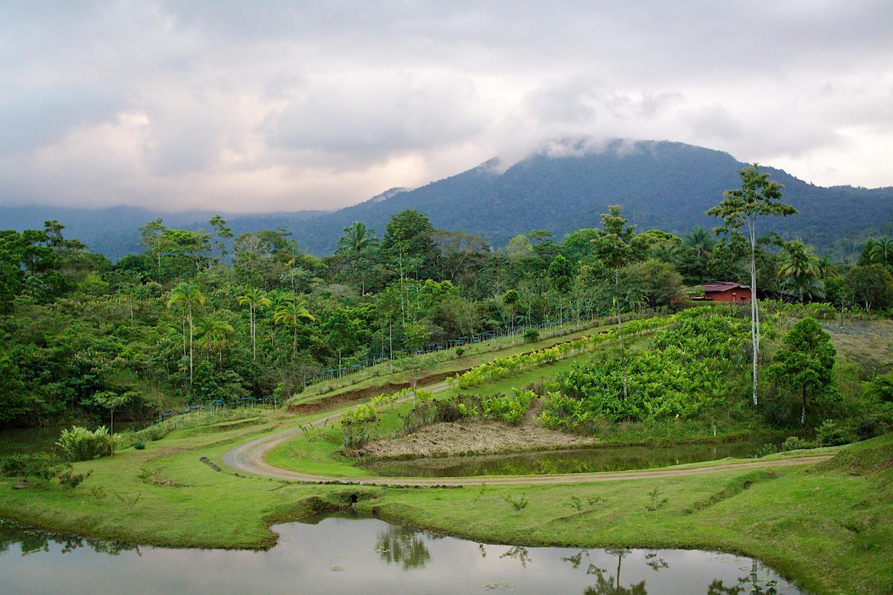 La Anita Rain Forest Hotel Colonia Dos Rios Ngoại thất bức ảnh