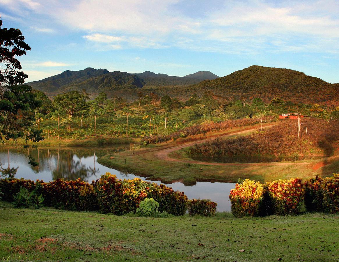 La Anita Rain Forest Colonia Dos Rios Ngoại thất bức ảnh