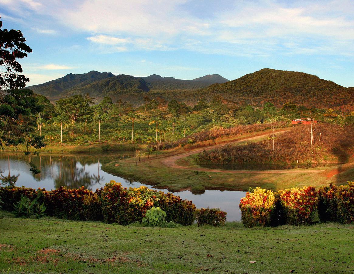 La Anita Rain Forest Hotel Colonia Dos Rios Ngoại thất bức ảnh