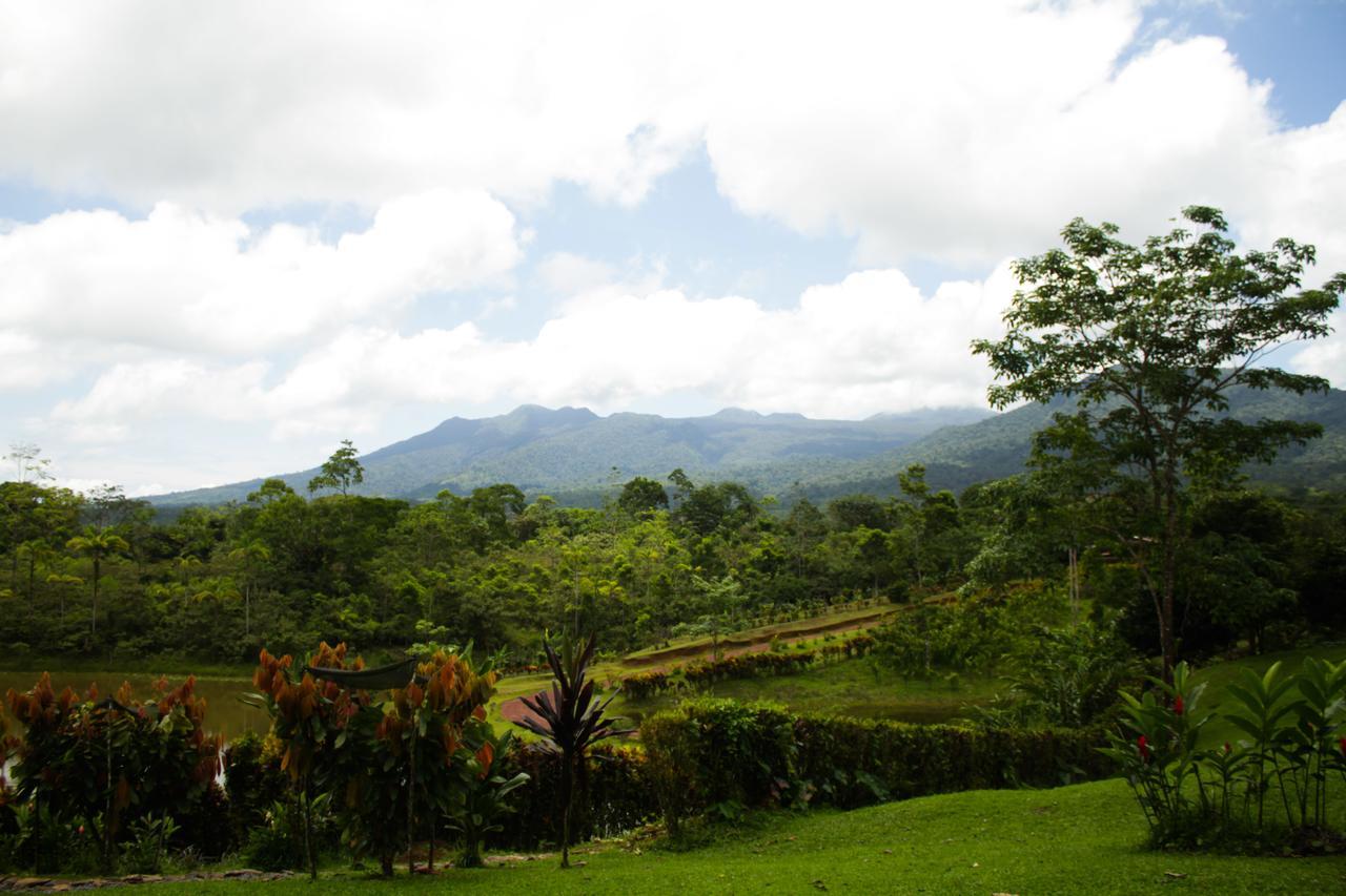 La Anita Rain Forest Hotel Colonia Dos Rios Ngoại thất bức ảnh