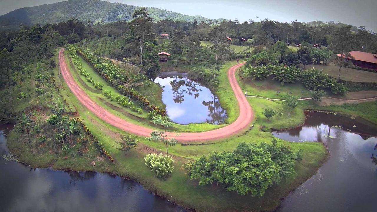 La Anita Rain Forest Colonia Dos Rios Ngoại thất bức ảnh