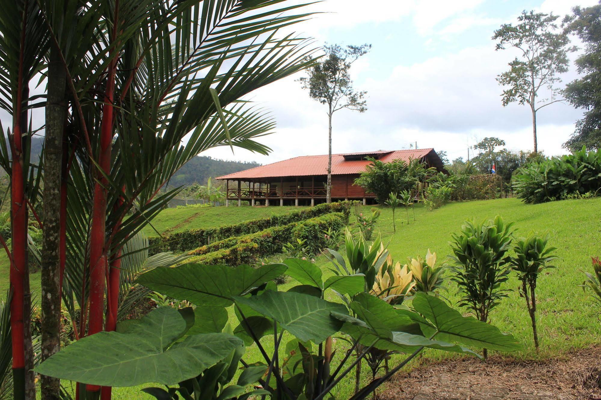 La Anita Rain Forest Colonia Dos Rios Ngoại thất bức ảnh