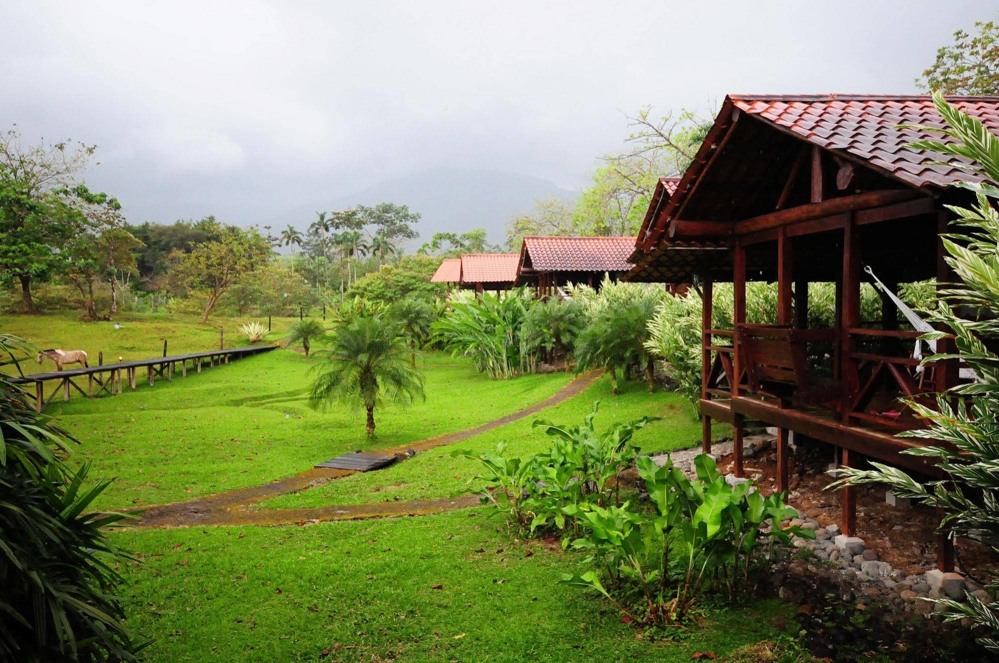 La Anita Rain Forest Hotel Colonia Dos Rios Ngoại thất bức ảnh