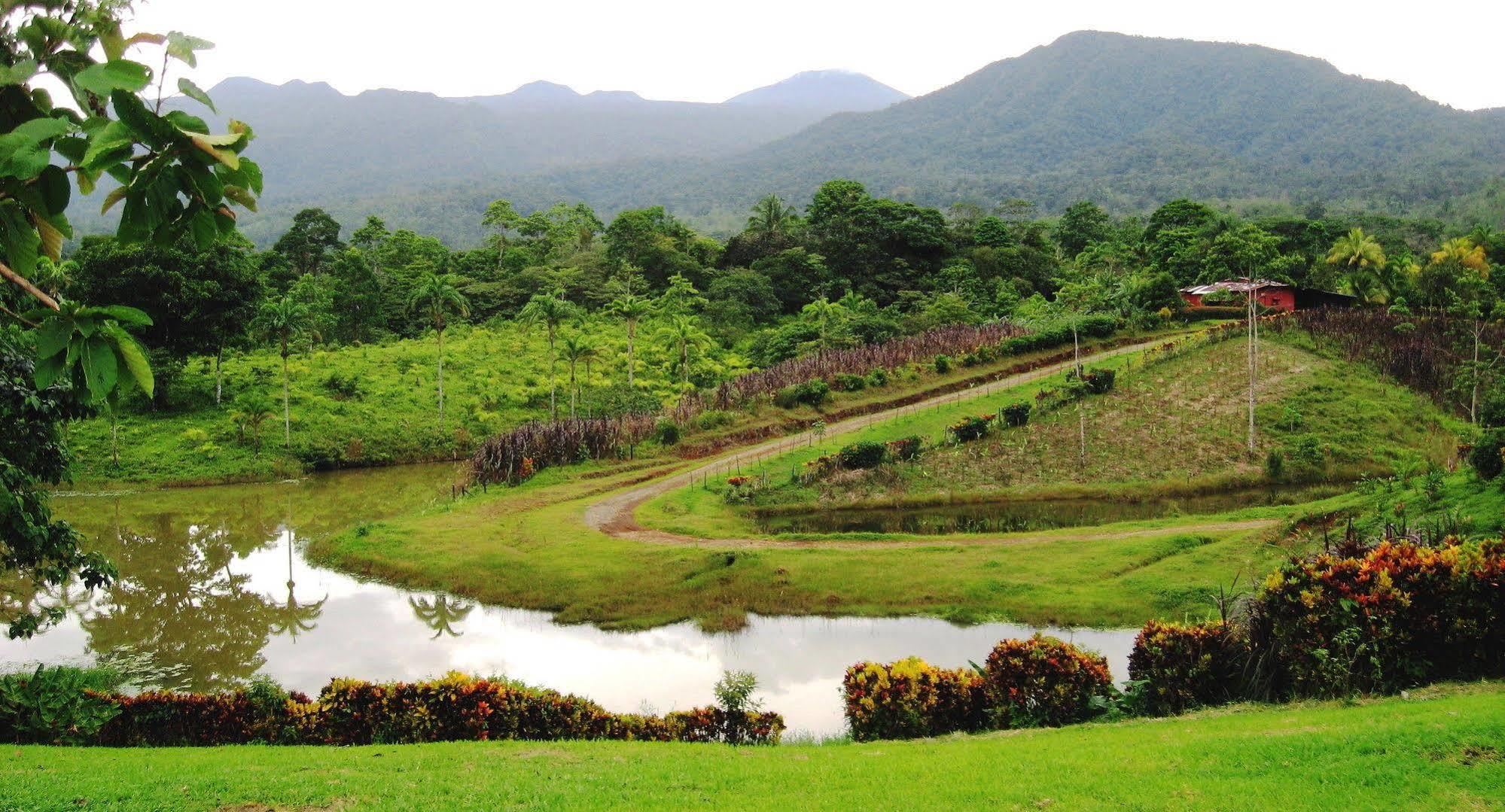 La Anita Rain Forest Hotel Colonia Dos Rios Ngoại thất bức ảnh