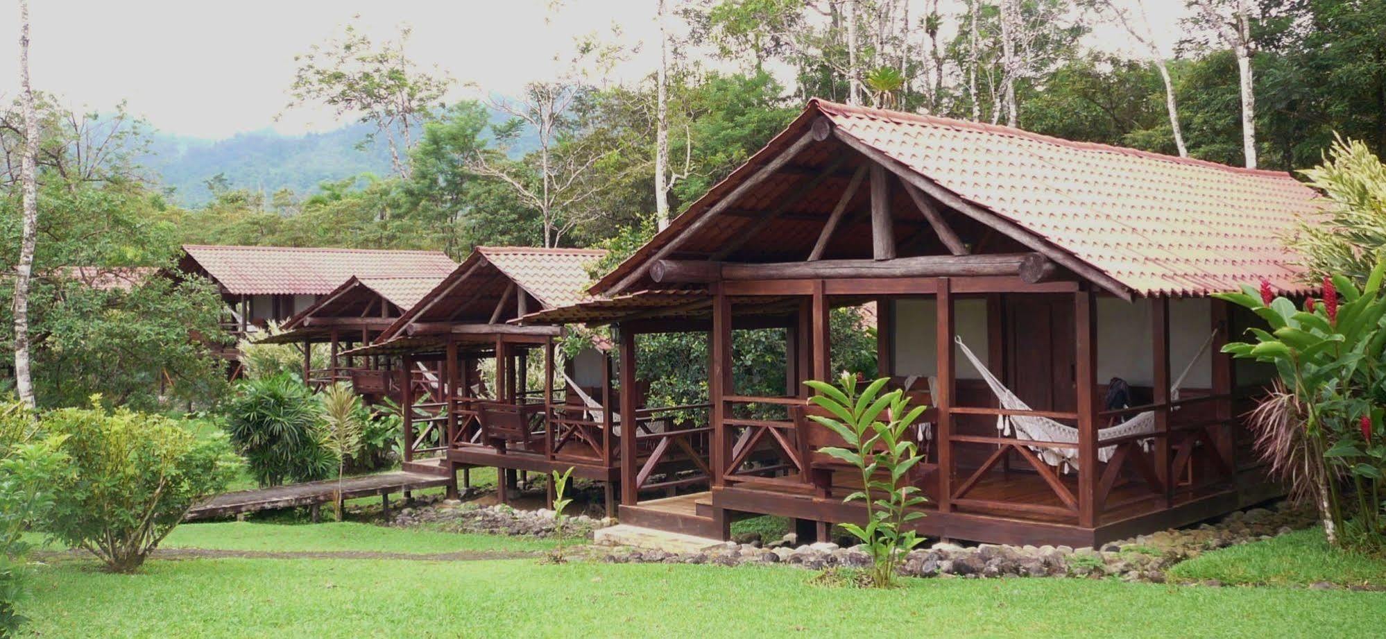 La Anita Rain Forest Hotel Colonia Dos Rios Ngoại thất bức ảnh